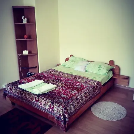 One-room Apart Apartment Cluj-Napoca